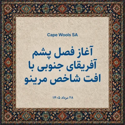 آغاز فصل پشم آفریقای جنوبی با افت شاخص مرینو
